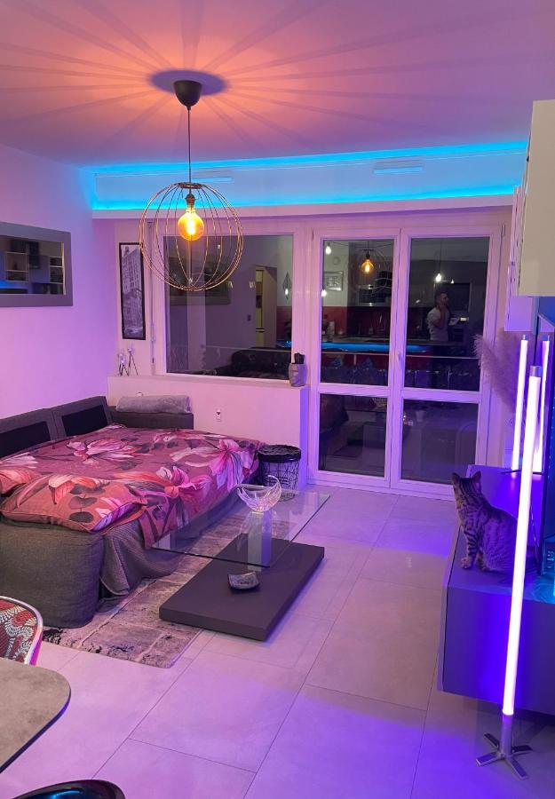 ستراسبورغ Guest Room "We Are With You In This Flat" المظهر الخارجي الصورة